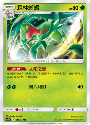 Grovyle CSM1bC-016 U — Simplified Chinese Pokémon card