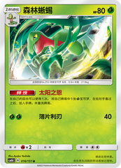 Grovyle CSM1bC-016 U — Simplified Chinese Pokémon card
