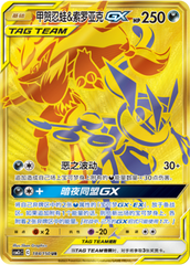 Greninja & Zoroark GX CSM2cC-184 UR — Simplified Chinese Pokémon card