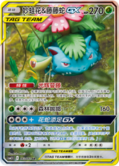 Venusaur & Snivy GX CSM2.5C-063 SR — Simplified Chinese Pokémon card