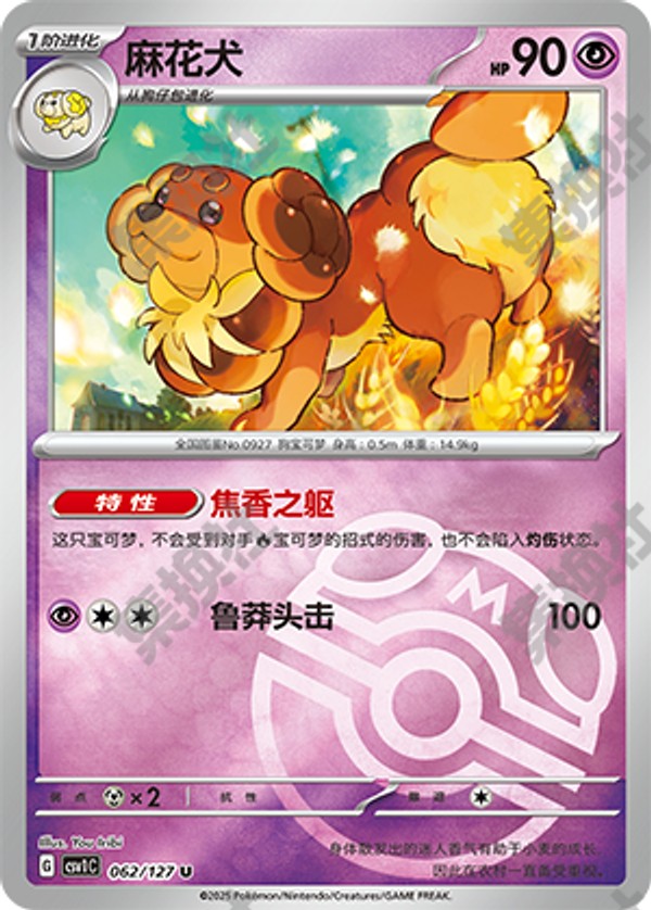 Dachsbun CSV1C-062/127 U Master Ball Foil — Simplified Chinese Pokémon card