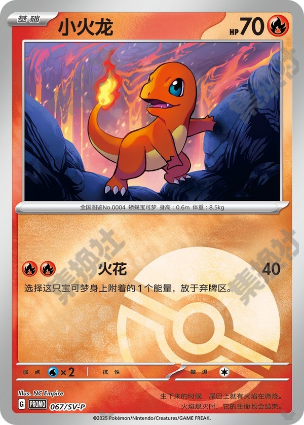 Charmander SV-P-067/SV-P PROMO — Simplified Chinese Pokémon card