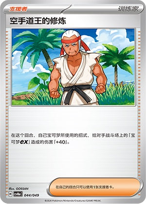 Black Belt's Training CSVH6eC-044/049 Unmarked — Simplified Chinese Pokémon card