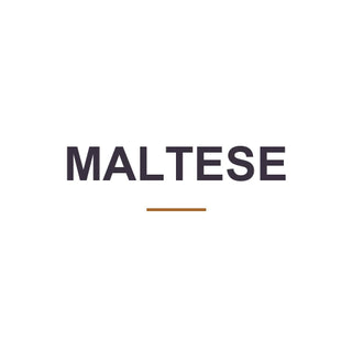 Maltese