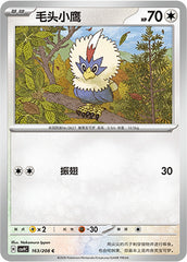 Rufflet CSV9C-163/208 C — Simplified Chinese Pokémon card
