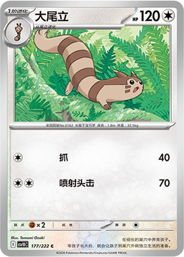 Furret CSV10C-177/222 C — Simplified Chinese Pokémon card