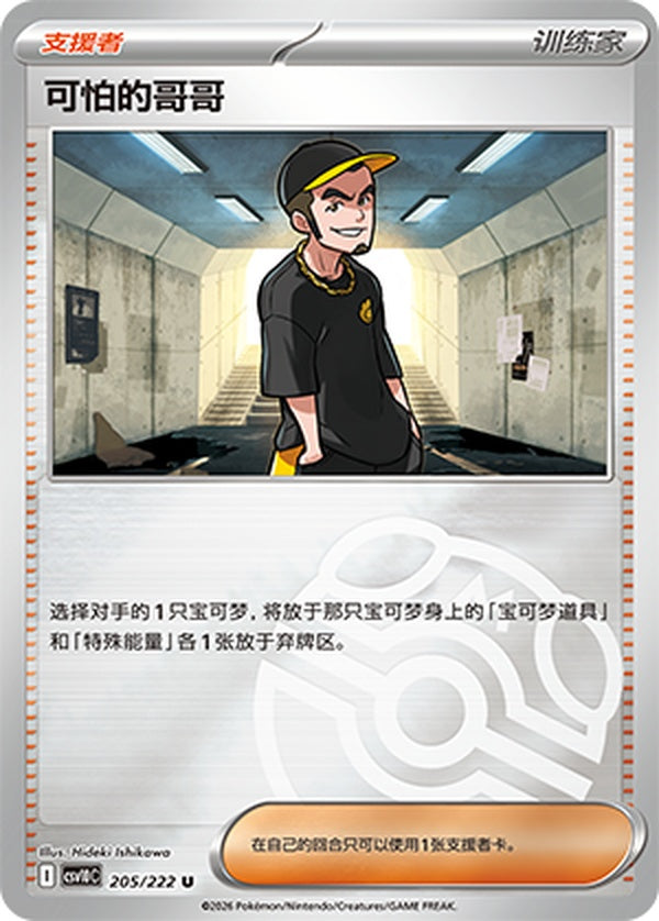 Ruffian CSV10C-205/222 U Master Ball Foil — Simplified Chinese Pokémon card